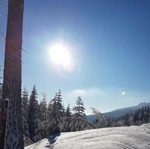 Ferienhaus Haus Bergblick Luftkurort Lückendorf